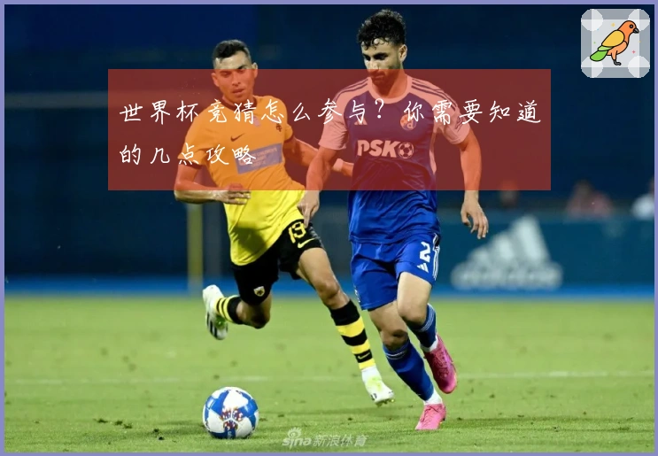 世界杯竞猜怎么参与？你需要知道的几点攻略