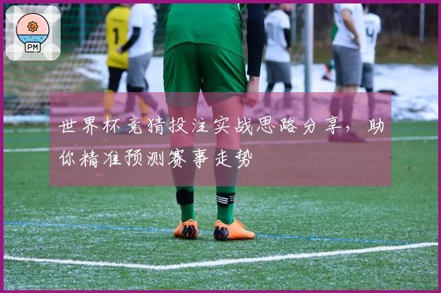 世界杯竞猜投注实战思路分享，助你精准预测赛事走势