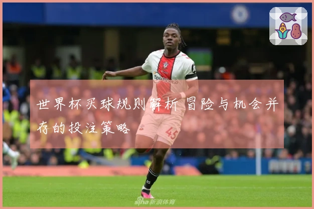 世界杯买球规则解析 冒险与机会并存的投注策略