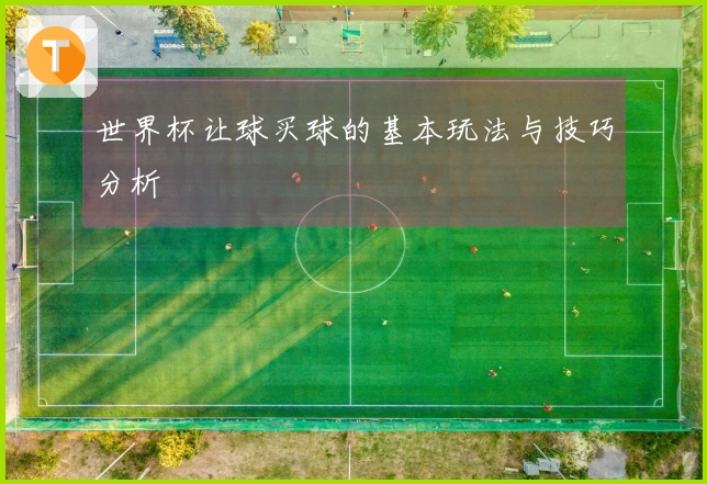 世界杯让球买球的基本玩法与技巧分析
